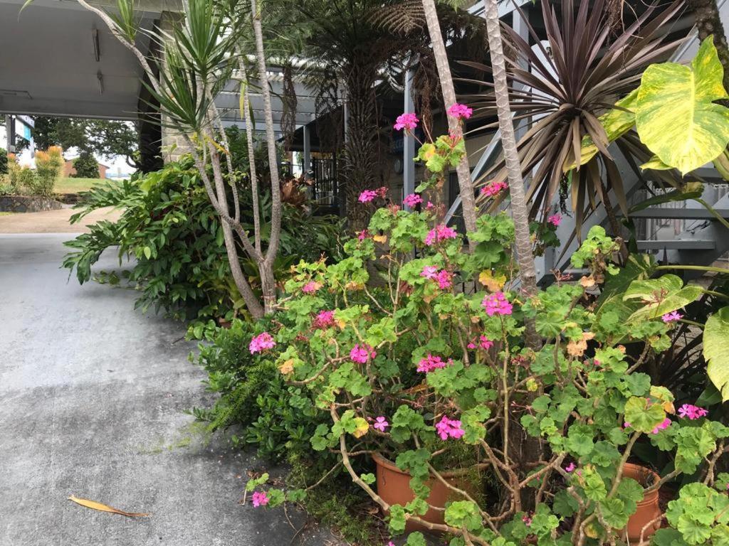 Coffs Shearwater 3*